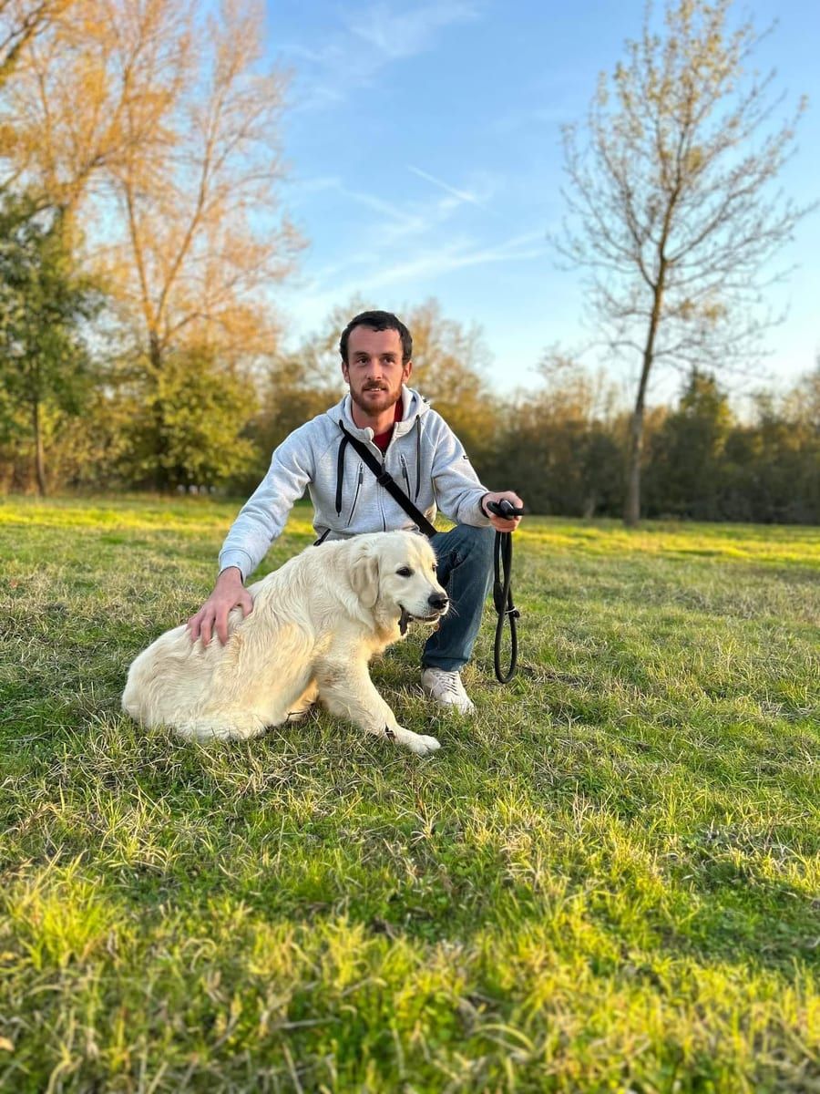 Profil de Ladislas